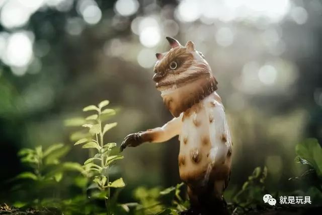 “森林”，一只在梦里旅行的温柔怪兽