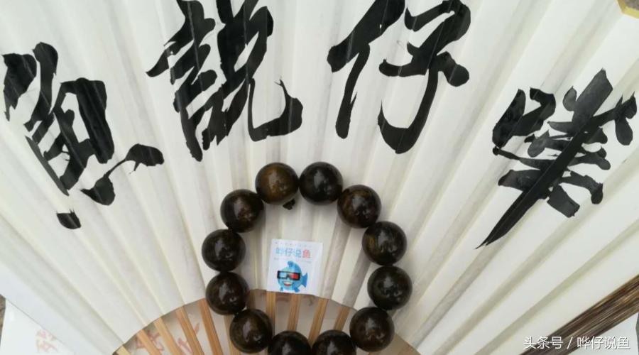 秒懂道法,秒懂养宠