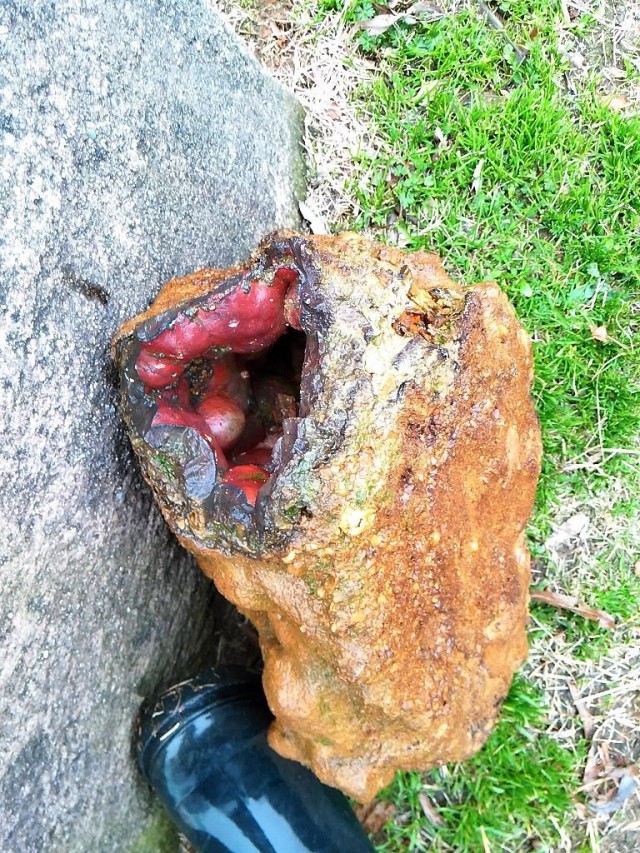 村民挖出亿年怪石,挖出千年巨石洞的视频