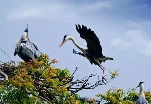 国庆冬秋双节去哪儿最好玩,国庆双节去哪里玩最好