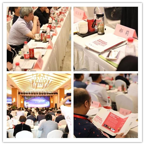 桃花渡作品,2024桃花坞颁奖完整版