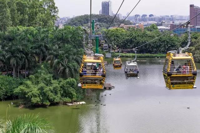 广州长隆野生动物园吃东西攻略,广州长隆野生动物园吃喝攻略