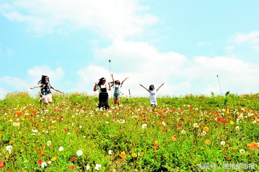 贵州有多少个4A景区,贵州旅游攻略4a及以下免费景区