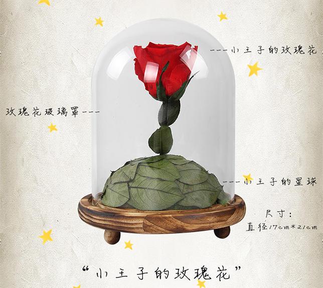 永生花怎么插花瓶,永生花的正确插法