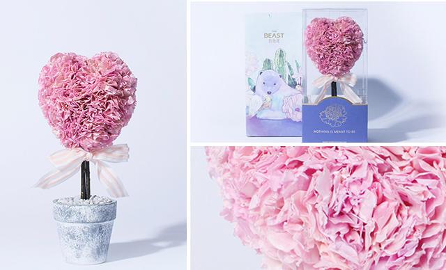 永生花怎么插花瓶,永生花的正确插法