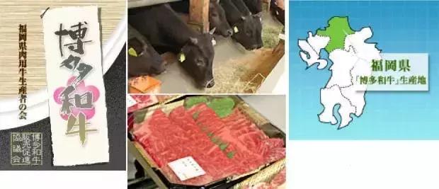 福冈最好的居住街区,福冈的城市介绍