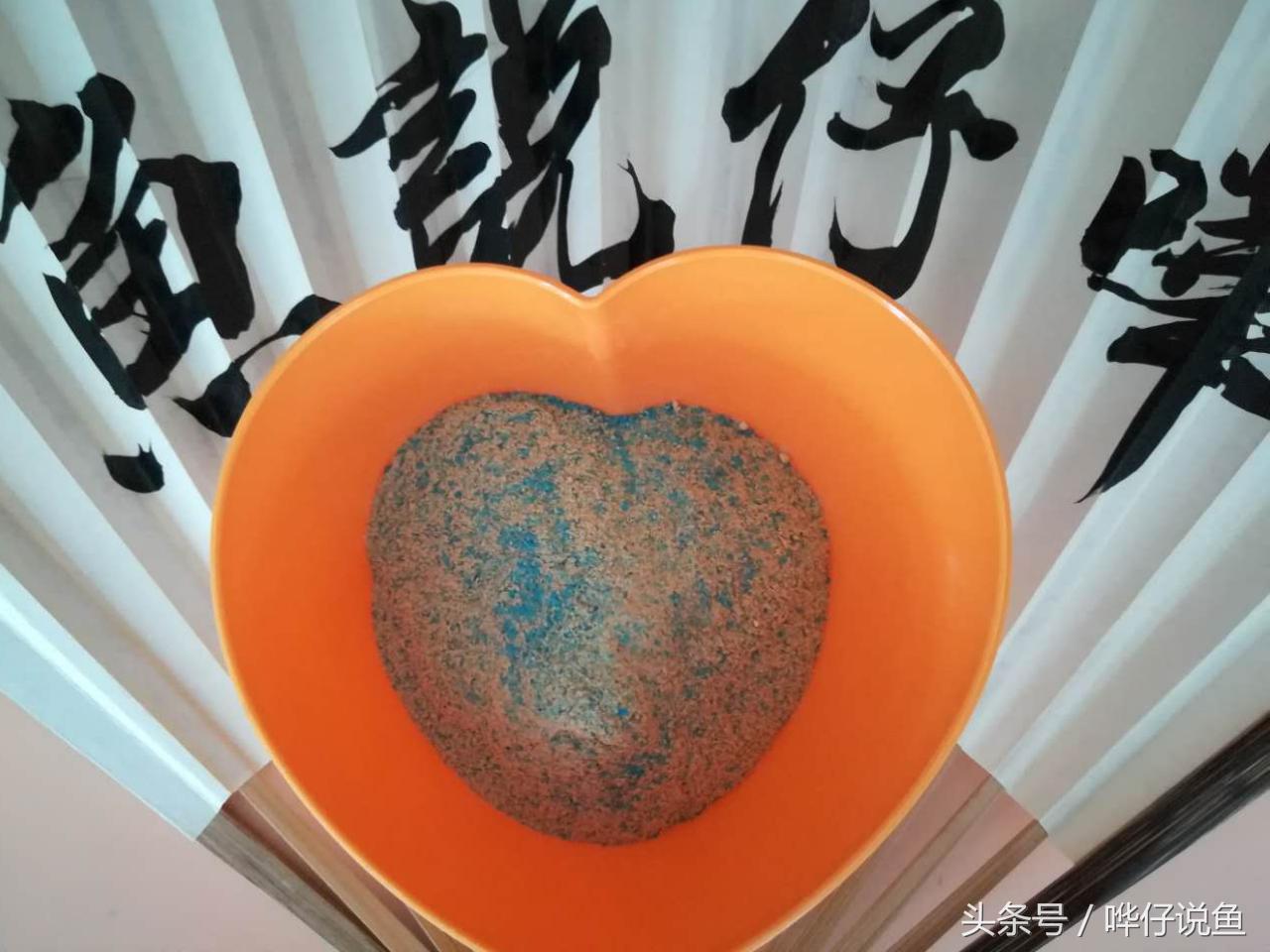 秒懂道法,秒懂养宠