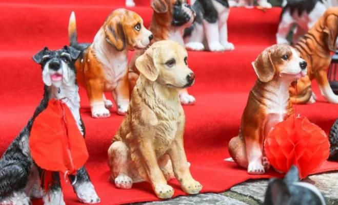 广州长隆特价买一送一,广州长隆票买一送一