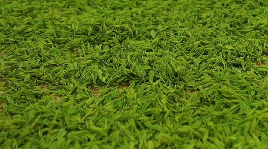 好茶的口感标准是什么,五个标准教你一招鉴别好茶