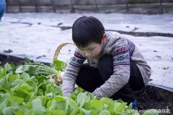 成都周边农场推荐,成都周边最有特色的农场