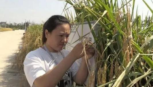 早安合肥|合肥机动车选号将启用“全国版”运气好可选到皖A00000