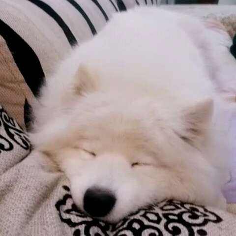 有什么方法不打瞌睡,一招不打瞌睡