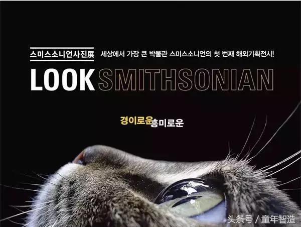 值得带孩子去看的画展,全球最值得看的20个展览