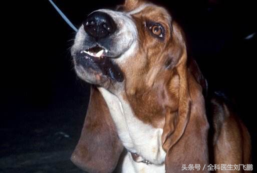 我们和印度在这方面是难兄难弟，请不要再互相攻击！