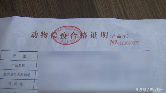 “夜袭”冷鲜肉交易现场一千多公斤未检疫羊肉被暂扣