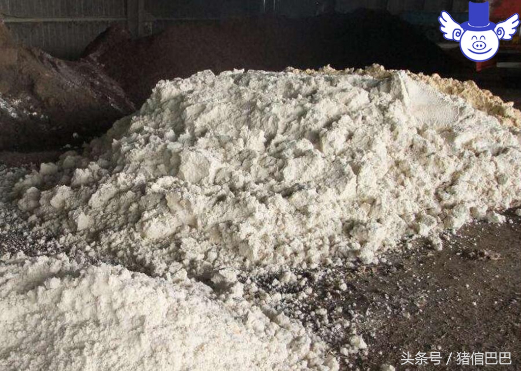 猪中毒了紧急处理怎么弄,猪中毒的七种应急处理措施是