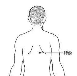 夏季湿疹补脾胃教你两个食疗方,脾虚湿盛型慢性湿疹吃什么中成药