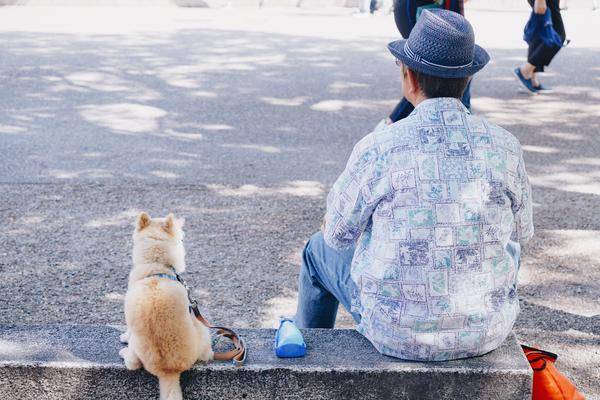 日本旅游景点最佳地点,日本广岛旅游景点大全