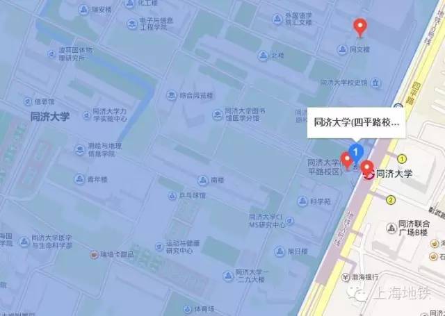 看樱花不用远赴日本,看樱花不用去武汉关庙也可以看