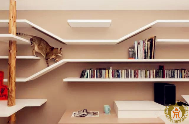 瓷砖做背景墙的最佳方法,瓷砖上墙还有没有必要做背景墙