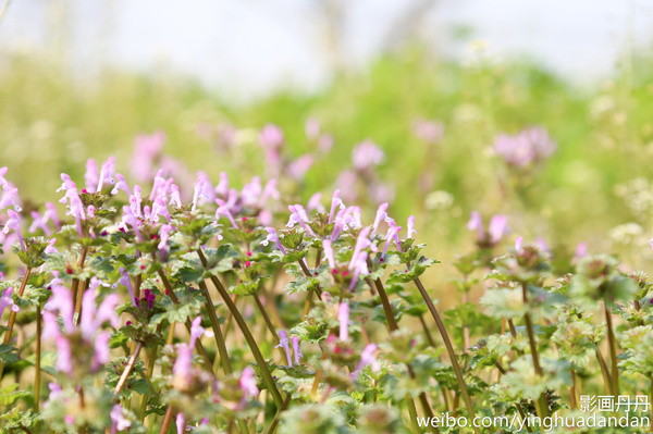 牵着小手去旅行,牵着小手去旅游