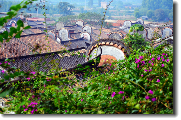 十二道锋味谢霆锋潮汕牛肉,十二道锋味隆苑咖啡谢霆锋