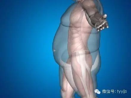 一张图看懂脂肪的真面目,脂肪就像泡沫一样形成过程