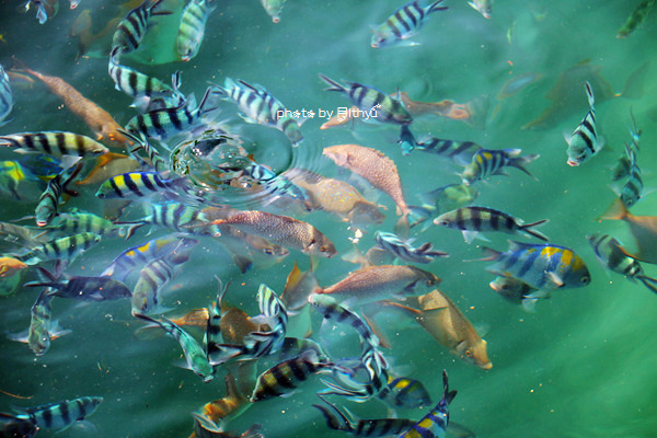 人生必需要有一次闺蜜游——沙巴五日游