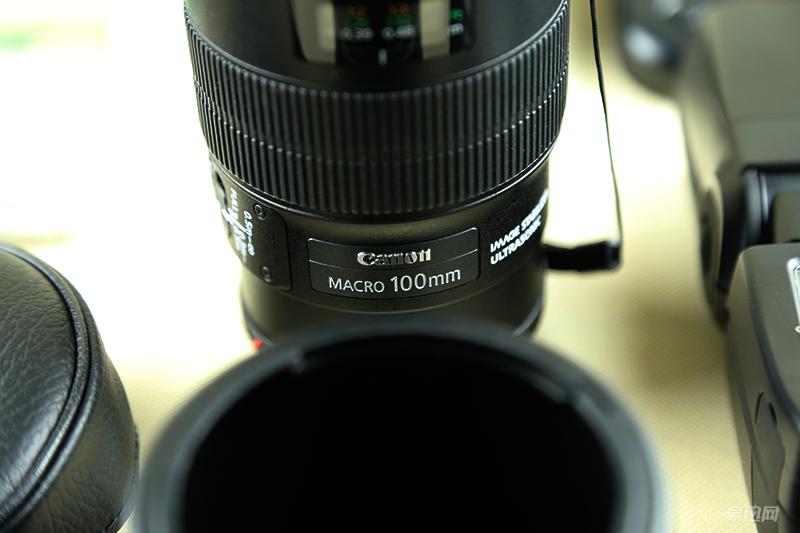 进入摄影坑不久的新人,刚入坑摄影的照片