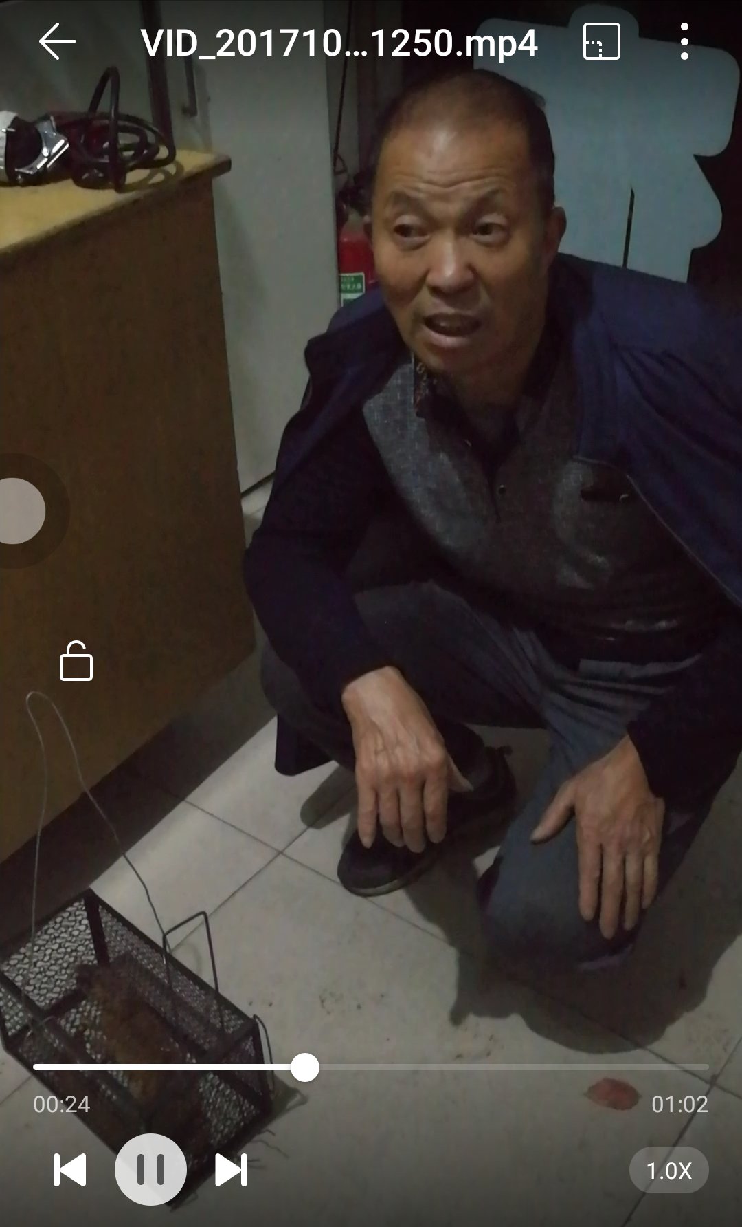 太原一居民国庆节捕家里老鼠确捕到了一直黄鼠狼！该怎么办？