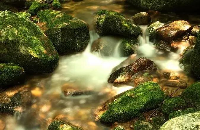 秦岭深处,秦岭深处有人家