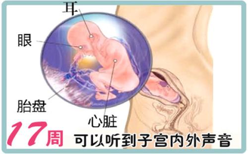 怀孕17周有什么症状及反应,怀孕16周会出现哪些症状