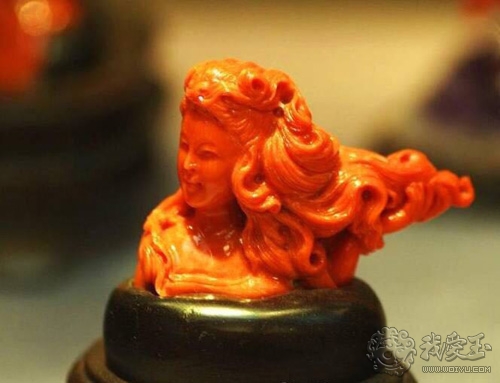 红珊瑚介绍,真正的红珊瑚是什么样的