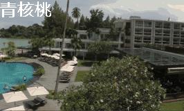 鍛煎拰娴╃壒鍒版櫘鍚夊矝,鍒锋垜婊村崱娉板浗鍘熺増