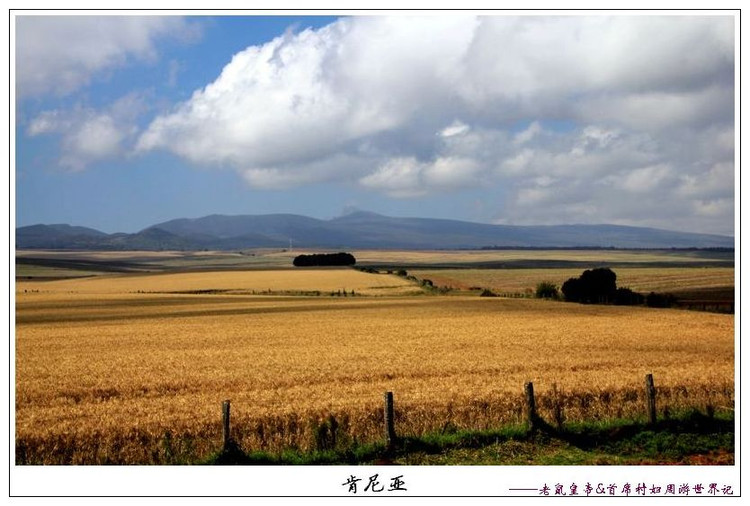 在这地方，“痞气痞气”“拨打拨打”“土客土客”的意思很有趣