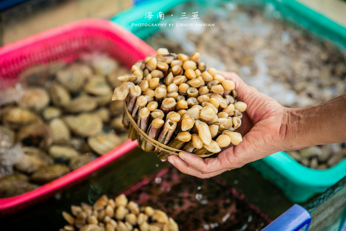 亲子游三亚旅行攻略,三亚北纬十八度亲子游