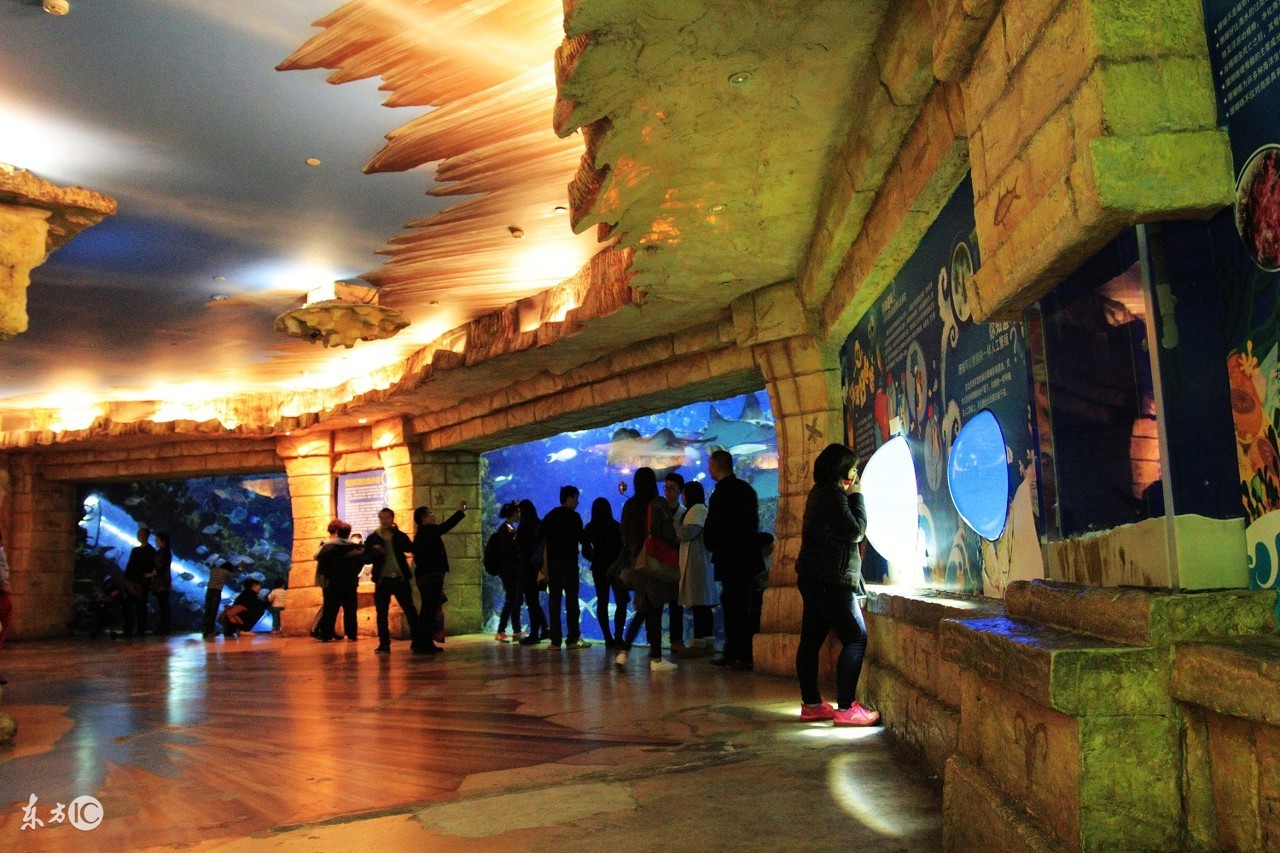 北京海洋馆,北京海洋馆表演时间表