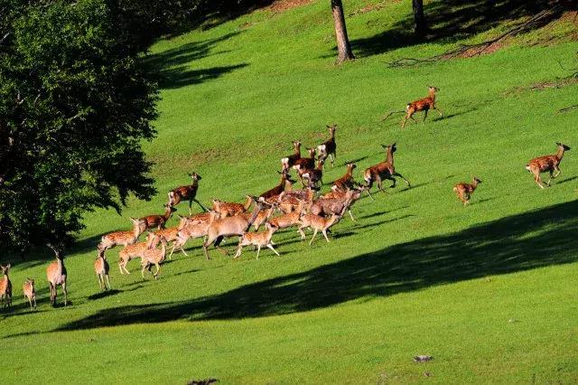 最好的我们免费看,最好的我们看剧
