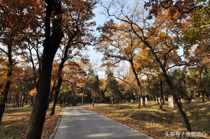 孔子的后代还可以葬入孔林吗,孔子现在的后人能葬孔林吗