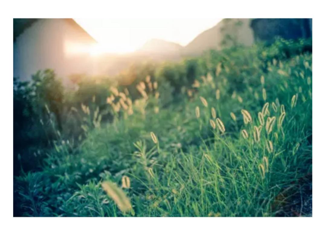 以心换心将心比心莫争长短,人将心比心以心换心文案