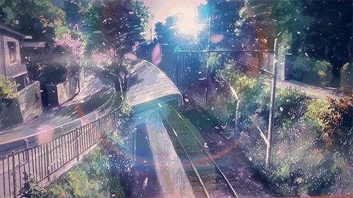 看樱花何必去远方,天津水上公园神户园樱花