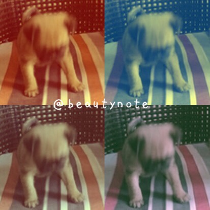 兰蔻274唇釉小蛮腰30毫升,兰蔻口红礼盒新年抽奖