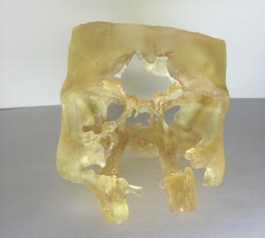 世界之最甩你几条街？NewPro3D45分钟打印完整头骨