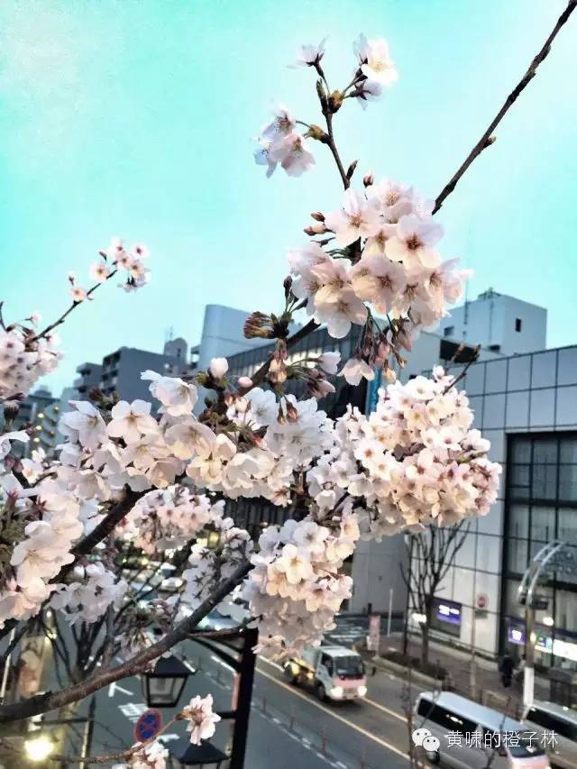 爆品和便宜有什么区别,爆品和爆款的区别