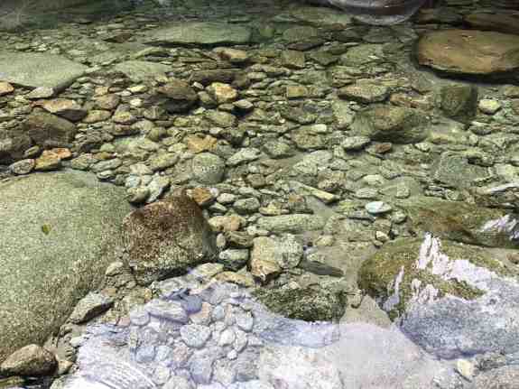 自驾九宫山露营,自驾游九宫山攻略