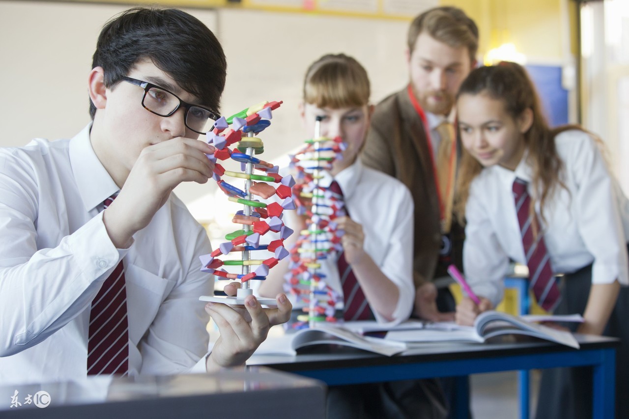 自招报考哪个学校好,自招初审通过率高的大学