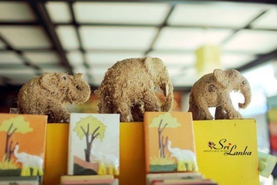 他们居然买大象粪便送人！