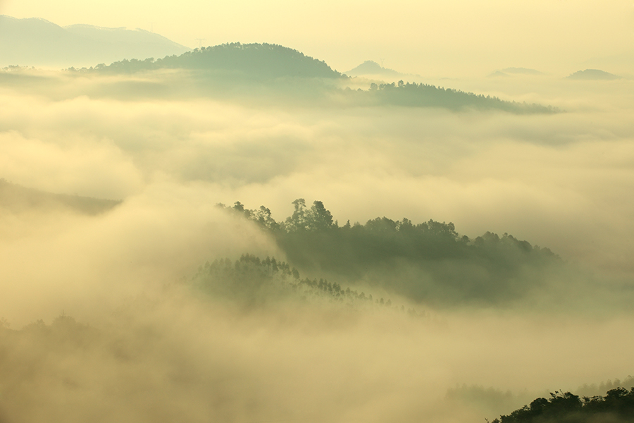 罗定看云海需要什么天气条件,云浮大云山看云海