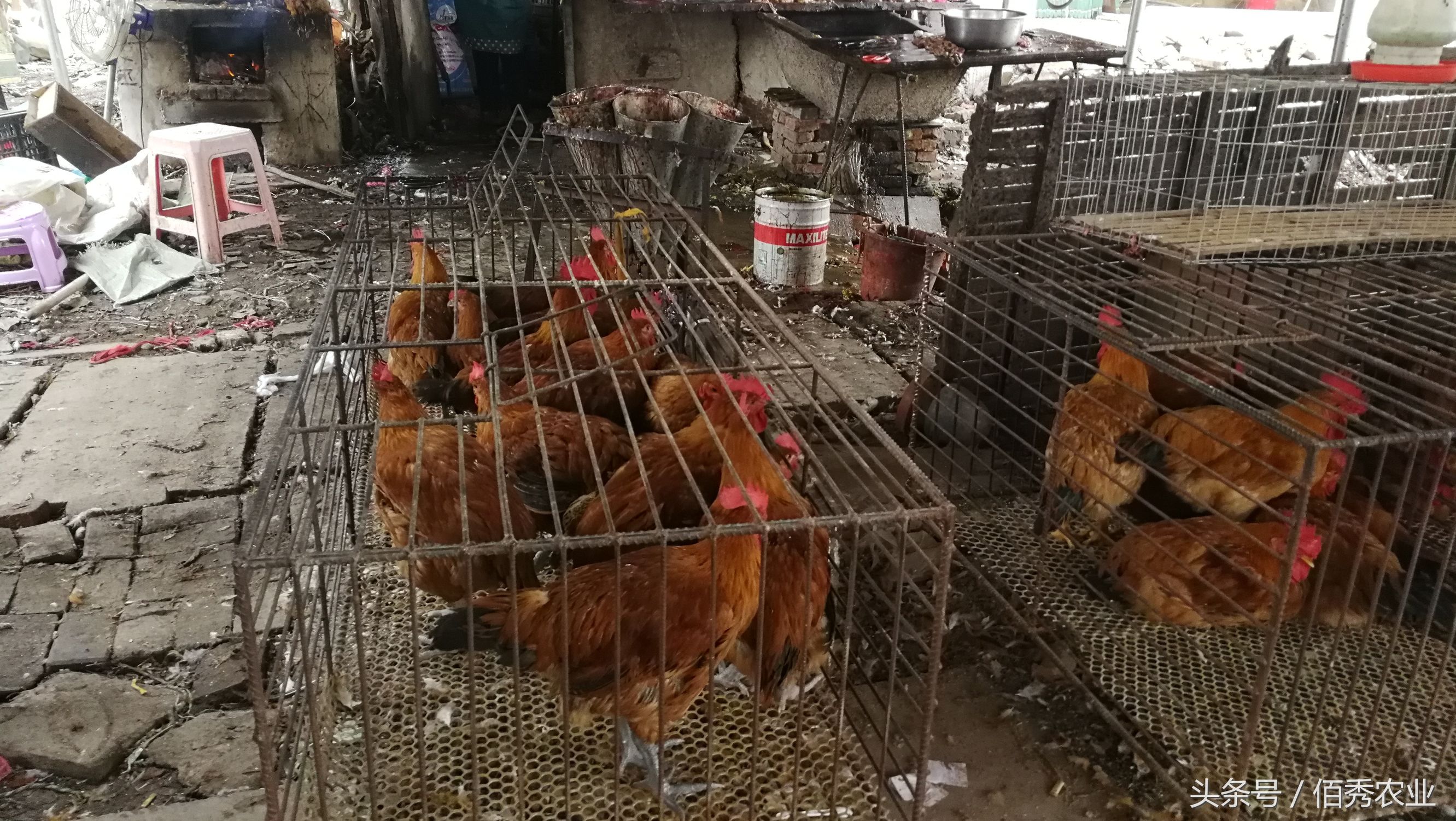 农村挣钱最快的小生意,农村最赚钱的小生意排行榜