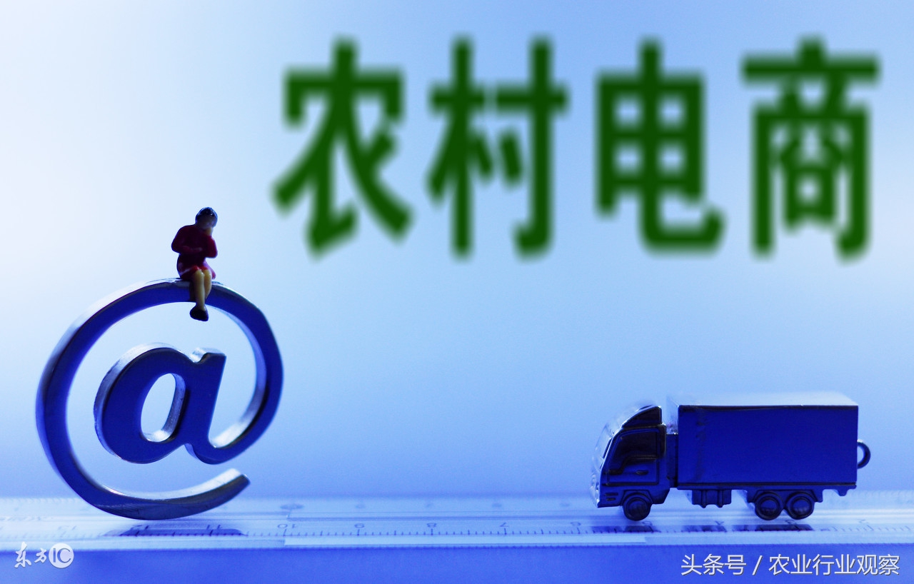 未来5年农村电商行业趋势,农村电商的当下与未来内容简介